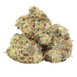 Blood Orange Strain
