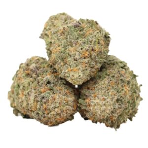 Hippie Crack Strain