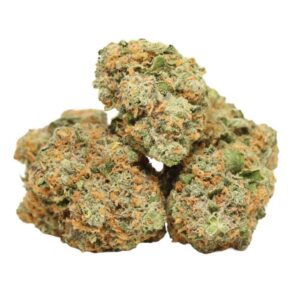 Watermelon Z Strain