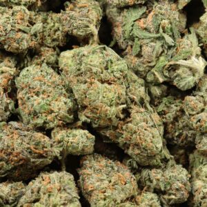94 Monkey Strain