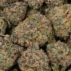 Biscotti Strain
