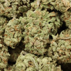 Durban Poison Strain