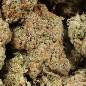 Gelato #33 Strain