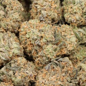 Gelato Strain