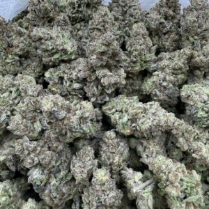 Cap Junky