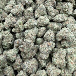 GMO Breath sm