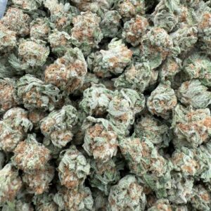Papaya Punch sm