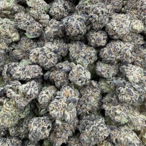 Gorilla glue